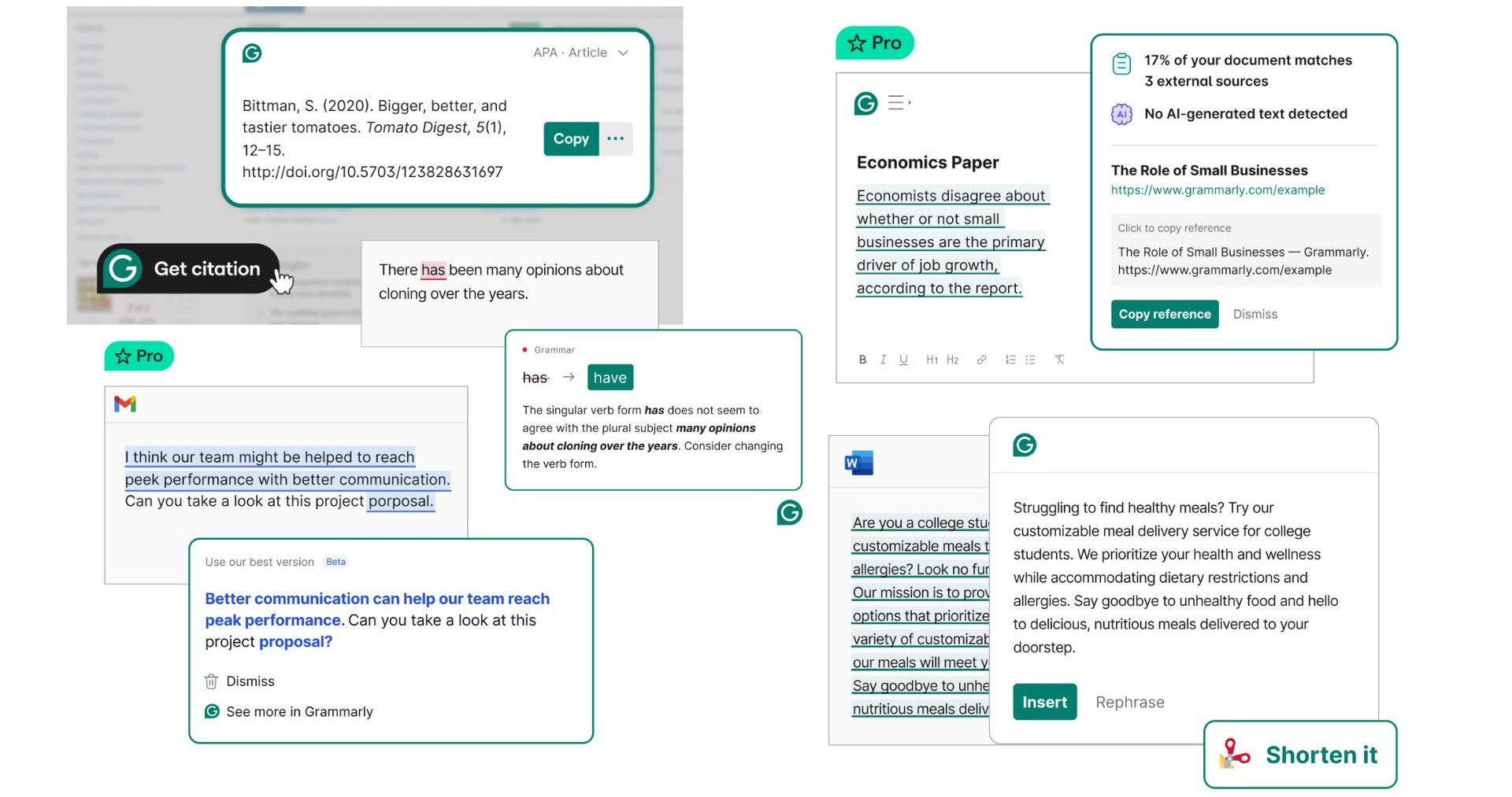 Your 2025 Examine Toolkit: 6 Should-Have Apps and Assets